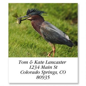 Green Heron Select Return Address Labels