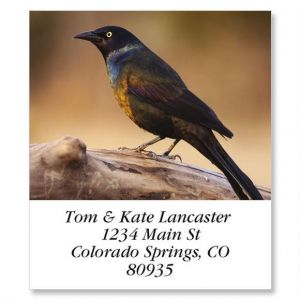 Grackle Select Return Address Labels