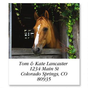 Horse In Barn Select Return Address Labels