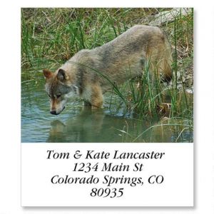 Wolf Reflections Select Return Address Labels