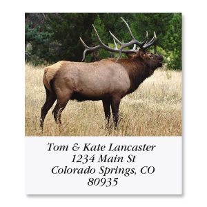 Bugling Elk Select Return Address Labels