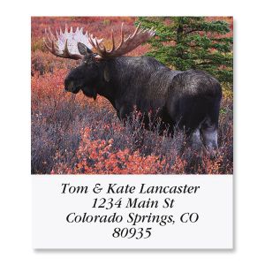 Moose in the Wild Select Return Address Labels