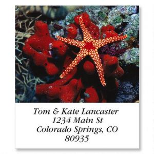 Marble Star Select Return Address Labels