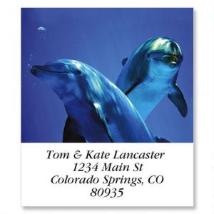 Curious Dolphins Select Return Address Labels