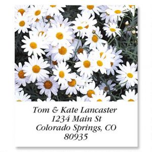 Daisies Select Address Labels