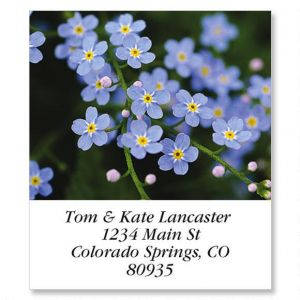 Meadow Blue Select Return Address Labels