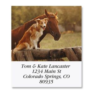 Morning Select Return Address Labels