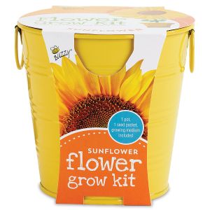 Sunflower Grow Pail