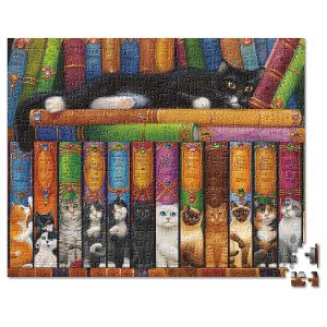 Cats & Books Puzzle