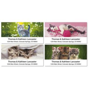 Cuddly Kittens Deluxe Address Labels  (4 Designs)