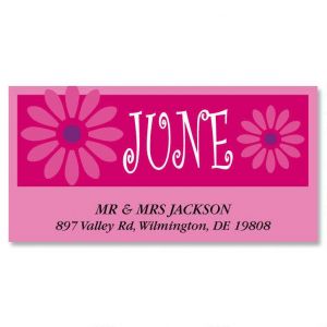 A Fun Year Deluxe Return Address Labels  (12 Designs)