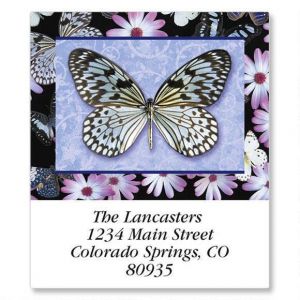 Butterflies All Year Round Select Return Address Labels  (12 Designs)