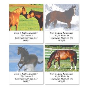 Horse Enthusiast Select Return Address Labels  (4 Designs)