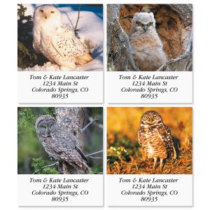 Owls Select Address Labels (12 Designs)