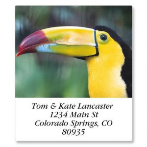 Animal Lives Select Return Address Labels  (24 Designs)