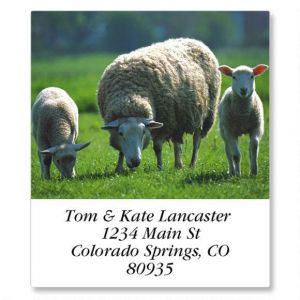 Barnyard Animals Select Return Address Labels  (24 Designs)