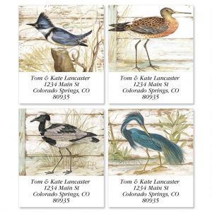 Seabirds Select Return Address Labels  (4 Designs)