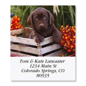 Doggone Fascinating  Select Return Address Labels  (12 Designs)