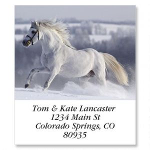 For Horse Lovers Select Address Labels  (12 Designs)