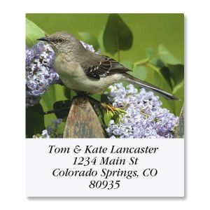 Bird Lover Select Return Address Labels  (6 Designs)