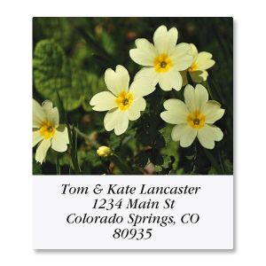 Natures Wildflowers Select Return Address Labels  (12 Designs)