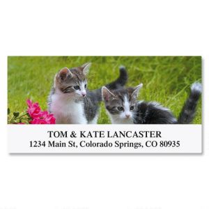 Love of Cats Deluxe Address Labels   (12 Designs)