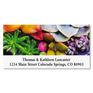 Succulent Garden Deluxe Return Address Labels (12 Designs)