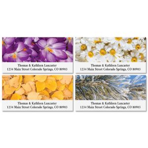  4 Seasons Deluxe Return Address Labels (4 Designs)