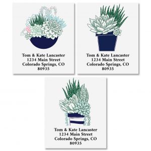 Succulents Select Return Address Labels (3 Designs)