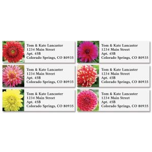 Dahlias Classic Return Address Labels (6 Designs)