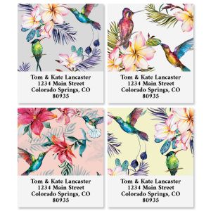 Colorful Colibri Select Return Address Labels (4 Designs)