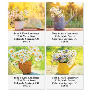 Sunlight Select Return Address Labels (4 Designs)