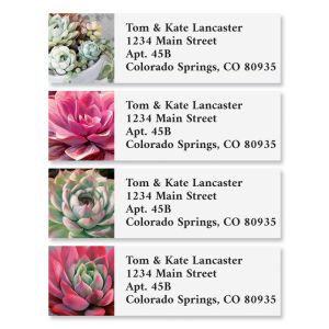 Succulent Colors Classic Return Address Labels (6 Designs)