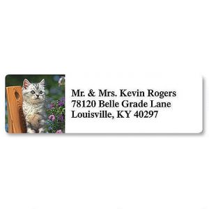 Picture Purrfect Classic Return Address Labels  (8 Designs)