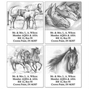 She Runs - Horse Select Return Address Labels   (4 Designs)
