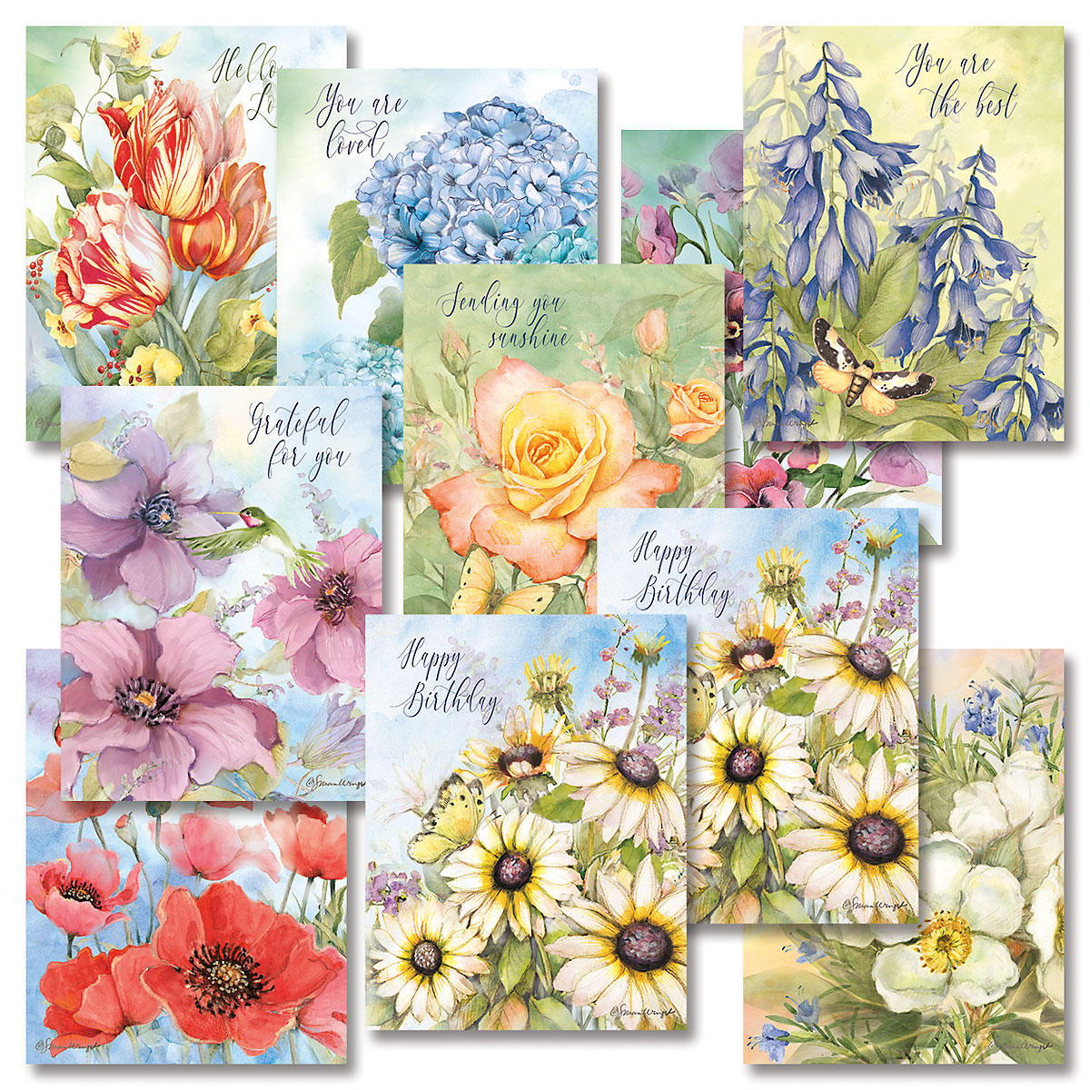 All Occasion Note Cards | Colorful Images