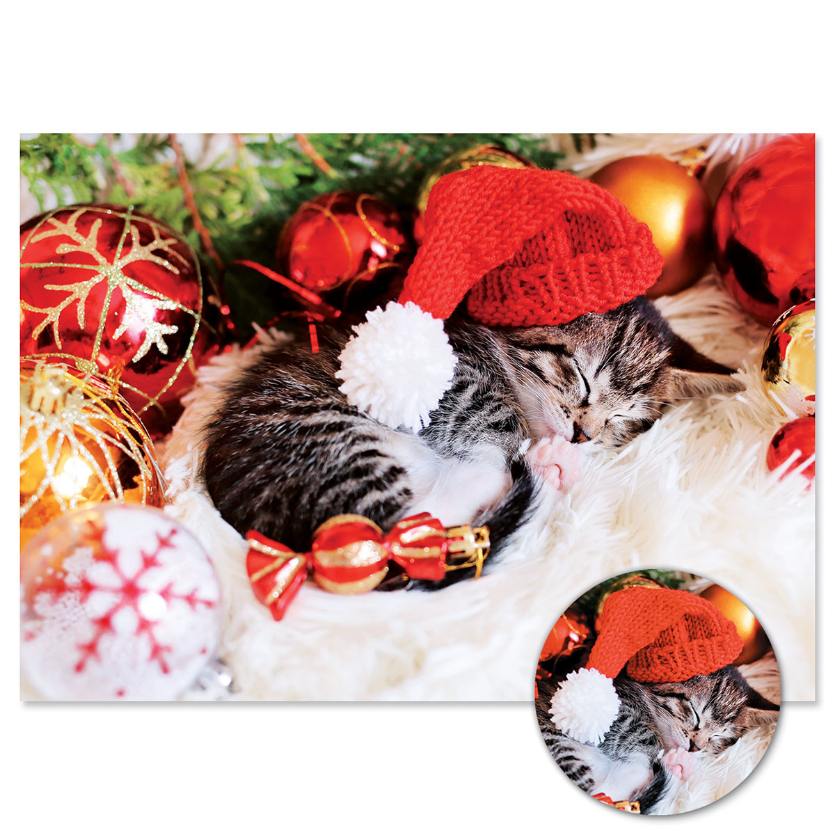 Cozy Kitten Christmas Cards - Personalized Personalized Cards