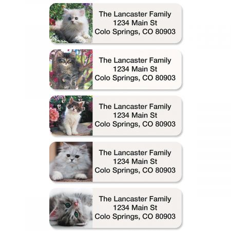 Cute Kittens Rolled Return Address Labels (5 Designs)