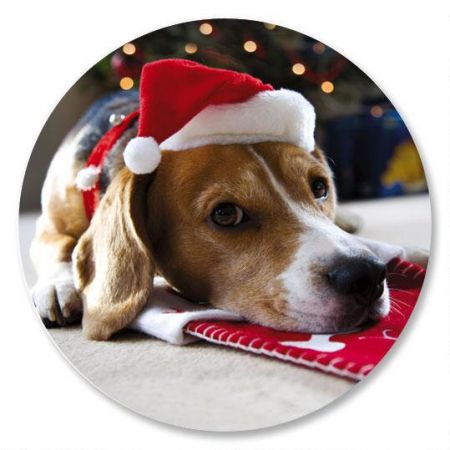 Santa Puppy Envelope Seals
