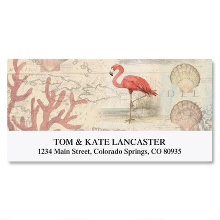Flamingo Deluxe Return Address Labels | Colorful Images
