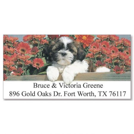 Shih Tzu Deluxe Return Address Labels
