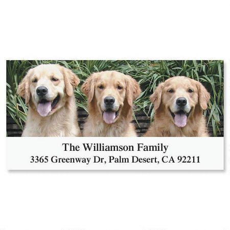 Retriever Deluxe Return Address Labels