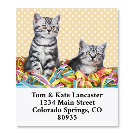 Birthday Cats Select Return Address Labels