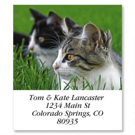 Double Vision Select Return Address Labels