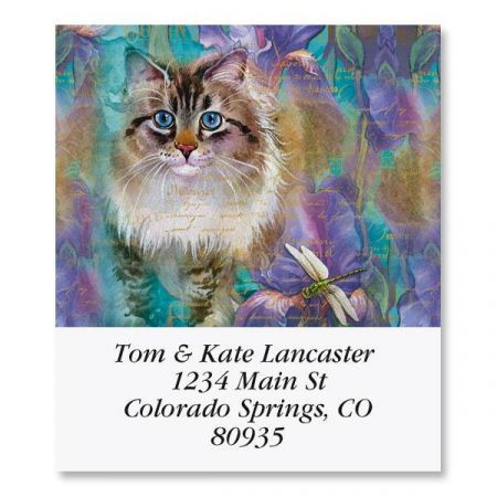 Houdini Select Return Address Labels