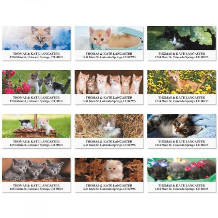 Everyday Cats Deluxe Return Address Labels (12 Designs)