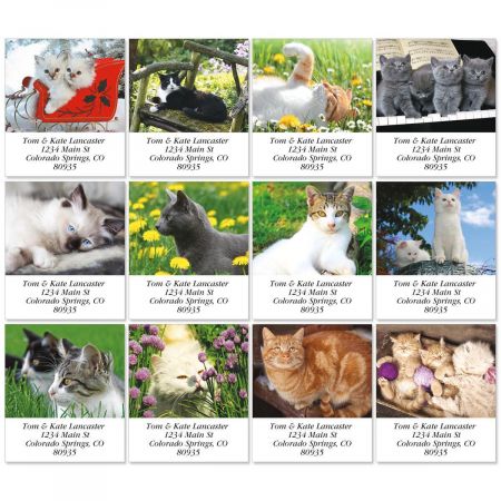 Love Those Cats Select Return Address Labels (12 Designs)