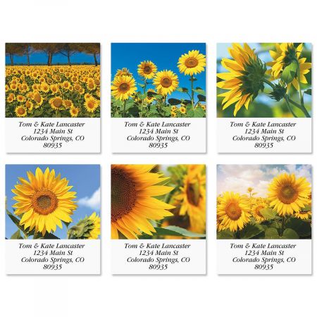 Sunny Sunflowers Select Return Address Labels (6 Designs)