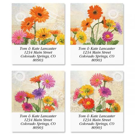Gerbera Select Return Address Labels (4 Designs)