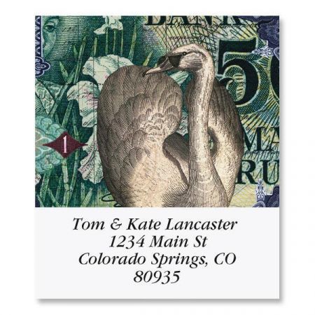 Birds of Finchley Select Return Address Labels (8 Designs)